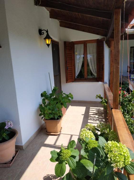 Ivonnis Garden Villa Mesimvria  Exterior photo