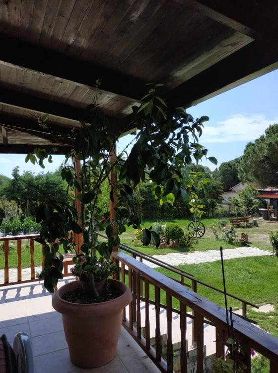 Ivonnis Garden Villa Mesimvria  Exterior photo