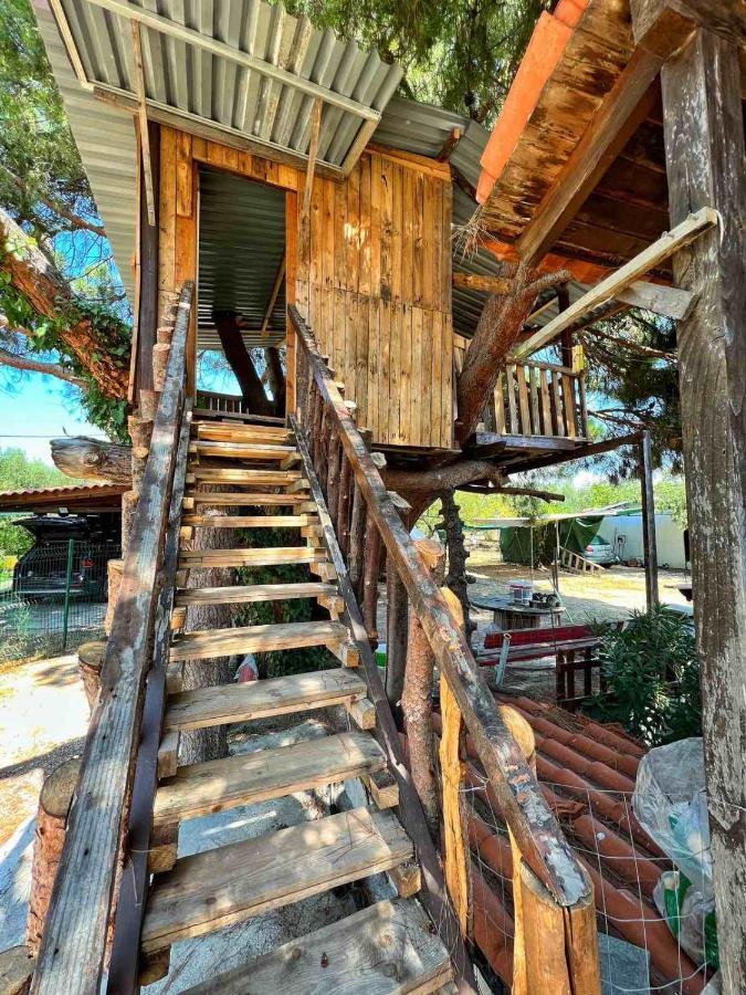 Ivonnis Garden Villa Mesimvria  Exterior photo